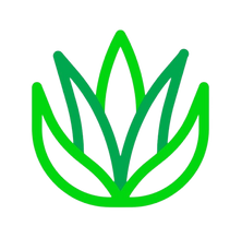 Adult and Pediatric Dermatology Skin Solutions Logo